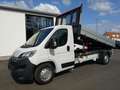 Citroen Jumper 35+ L3 Blue HDI Dreiseitenkipper 3,0t Zugla Weiß - thumbnail 2