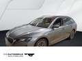 Skoda Octavia 4 IV Combi 2.0 TDI DSG Tour Stand/Pano/M Grau - thumbnail 1