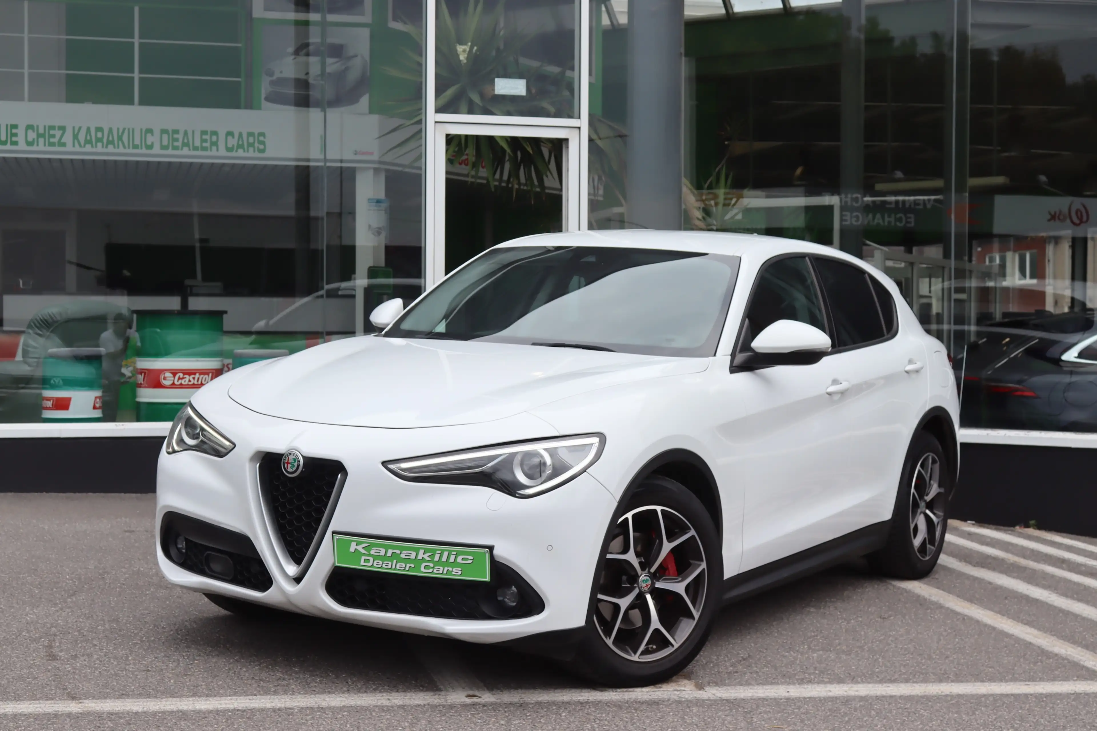 Alfa Romeo Stelvio 2.2JTD 150CV CUIR GPS CAMERA DISTRO XENON — photo 6