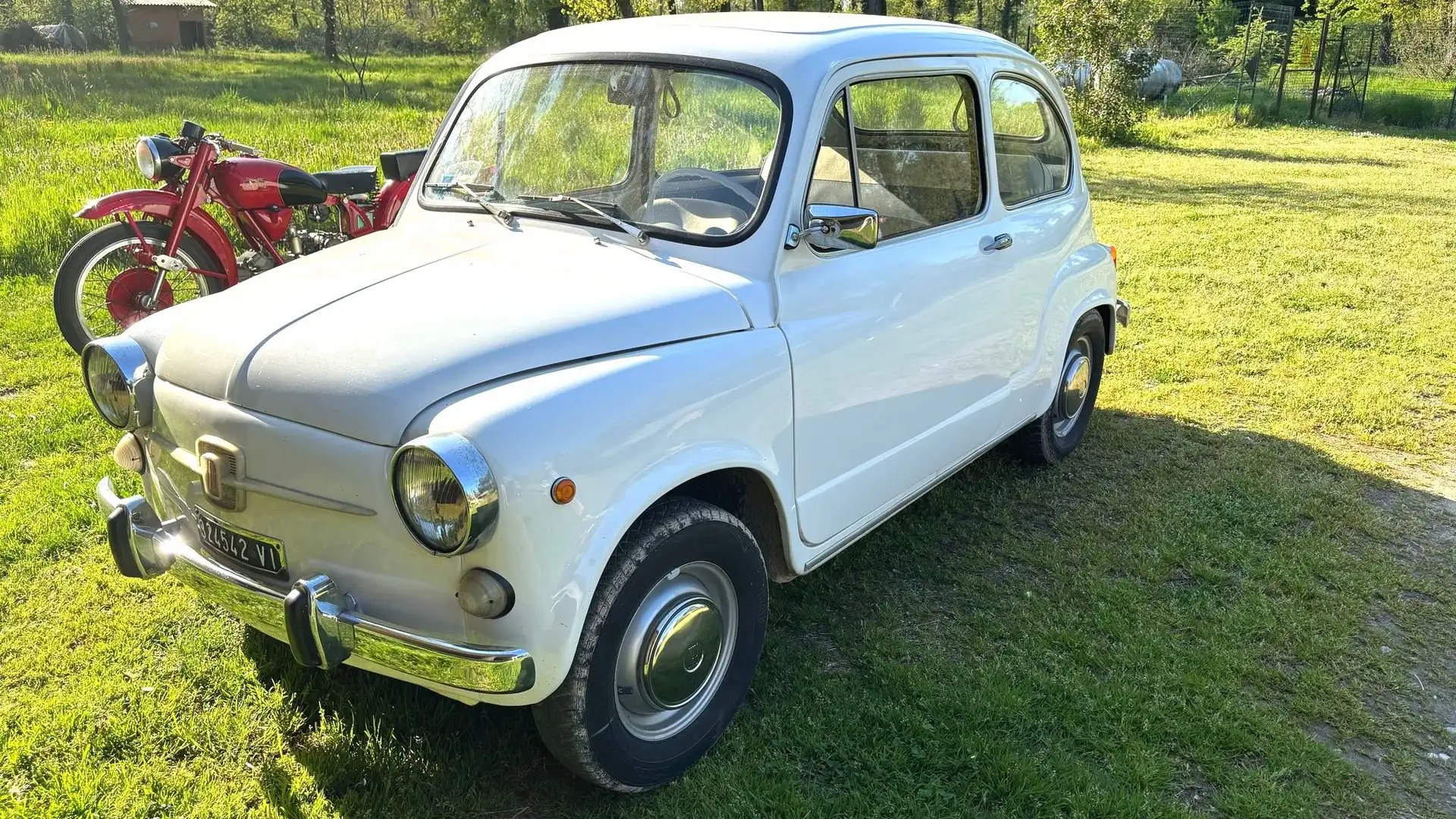 Fiat 600 600 D  - Tagliandata e Revisionata Alb - 1
