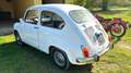 Fiat 600 600 D  - Tagliandata e Revisionata Alb - thumbnail 4