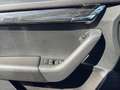 Skoda Octavia 2,0 TDI DSG, Rückfahrkamera, Neue Zahnriemen Schwarz - thumbnail 13