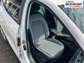 SEAT Ibiza Style 1,0TSI 70 kW (95 PS), Schalt. 5-Gang, Fro... White - thumbnail 11