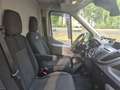 Ford Transit Transit 310 L2H2 Lkw VA Trend Grau - thumbnail 19