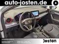 SEAT Ibiza FR 1.0TSI INFOTAIN Voll-LED SHZ BeatsAudio White - thumbnail 8