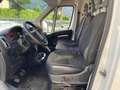 Citroen Jumper 2.2 BlueHDi PM-TM Furgone * AUTOCARRO * 3 POSTI * Bianco - thumbnail 6