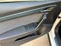 SEAT Arona 1.0 TSI S&S Xperience 110 Blanco - thumbnail 22