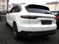 Porsche Cayenne S dt.Fzg. Top Ausst. Weiß - thumbnail 10