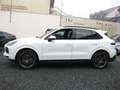 Porsche Cayenne S dt.Fzg. Top Ausst. Weiß - thumbnail 9
