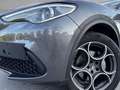 Alfa Romeo Stelvio B-Tech 2.2 AT8 Q4 Grau - thumbnail 13