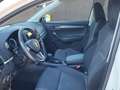 Skoda Karoq 4x4 Style TDI DSG Weiß - thumbnail 6