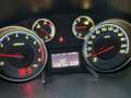 Fiat Sedici 1.6 16V 4x4 Dynamic A GPL TENUTA DA DIO Blanc - thumbnail 16