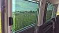 Volkswagen T6 Multivan Multivan DSG Beige - thumbnail 10