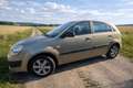 Kia Rio Rio 1,4i Active "Pilot" Motion Pilot Gold - thumbnail 1