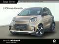 smart forTwo EQ PASSION*22KW-LADER*WINTER-PAKET*LED GJR*KAMER Gelb - thumbnail 1