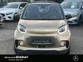 smart forTwo EQ PASSION*22KW-LADER*WINTER-PAKET*LED GJR*KAMER Gelb - thumbnail 2