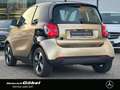 smart forTwo EQ PASSION*22KW-LADER*WINTER-PAKET*LED GJR*KAMER Gelb - thumbnail 4