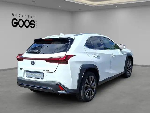 Lexus UX view 5