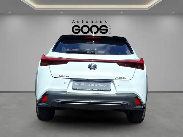 Lexus UX view 4
