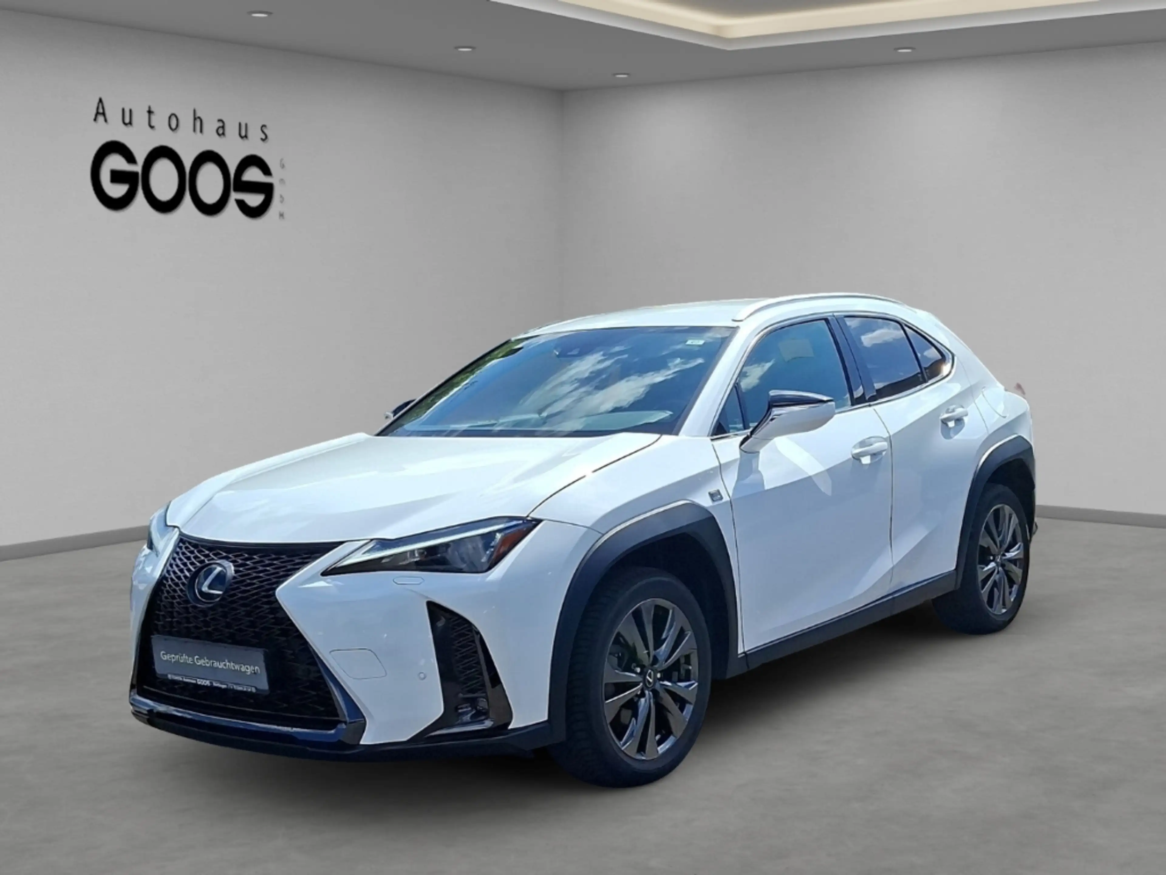 Lexus UX 250h Navi LED Dyn. Kurvenlicht ACC Apple CarPlay Androi