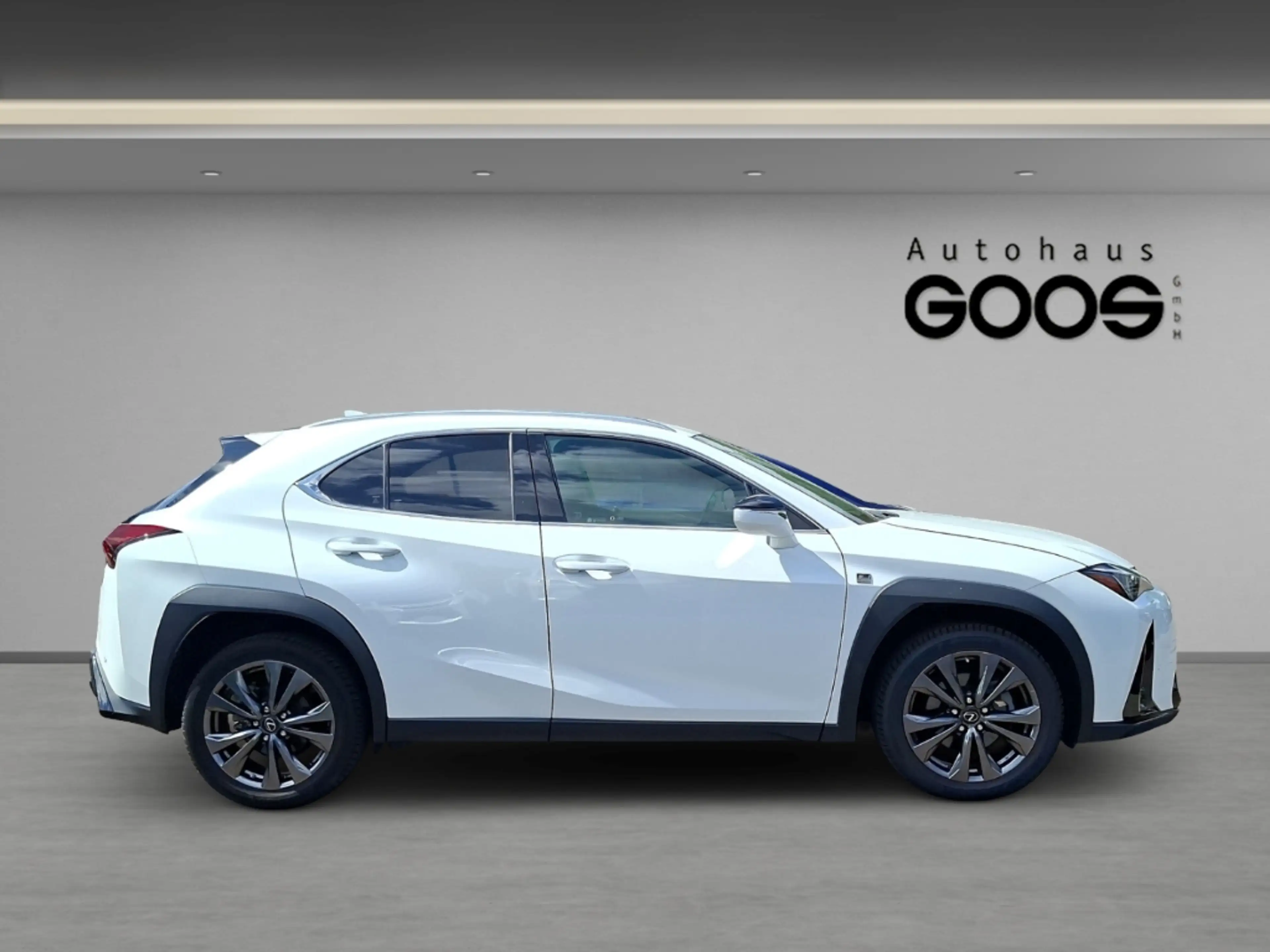 Lexus UX 250h Navi LED Dyn. Kurvenlicht ACC Apple CarPlay Androi — photo 6