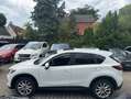 Mazda CX-5 Sports-Line AWD-Autom-Leder-Kamera-Navi-AHK-Bose Wit - thumbnail 7