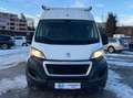 Peugeot Boxer Bus 2,0 NUR FÜR EXPORT ODER HÄNDLER Weiß - thumbnail 2
