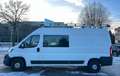 Peugeot Boxer Bus 2,0 NUR FÜR EXPORT ODER HÄNDLER Weiß - thumbnail 9