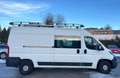 Peugeot Boxer Bus 2,0 NUR FÜR EXPORT ODER HÄNDLER Weiß - thumbnail 7