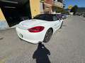 Porsche Boxster Boxster III 981 2013 2.7 265cv Bianco - thumbnail 7