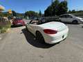 Porsche Boxster Boxster III 981 2013 2.7 265cv Bianco - thumbnail 12