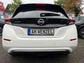 Nissan Leaf e+62 KW/h N-Connecta, LED, Navi, Pro Pilot Bianco - thumbnail 9
