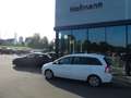 Opel Zafira B Family Plus Klima, PDC, Radio, 7 Sitzer Weiß - thumbnail 3