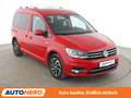 Volkswagen Caddy 1.4 TSI Join BlueMotion *ACC*PDC*SHZ*ALU* Rot - thumbnail 8