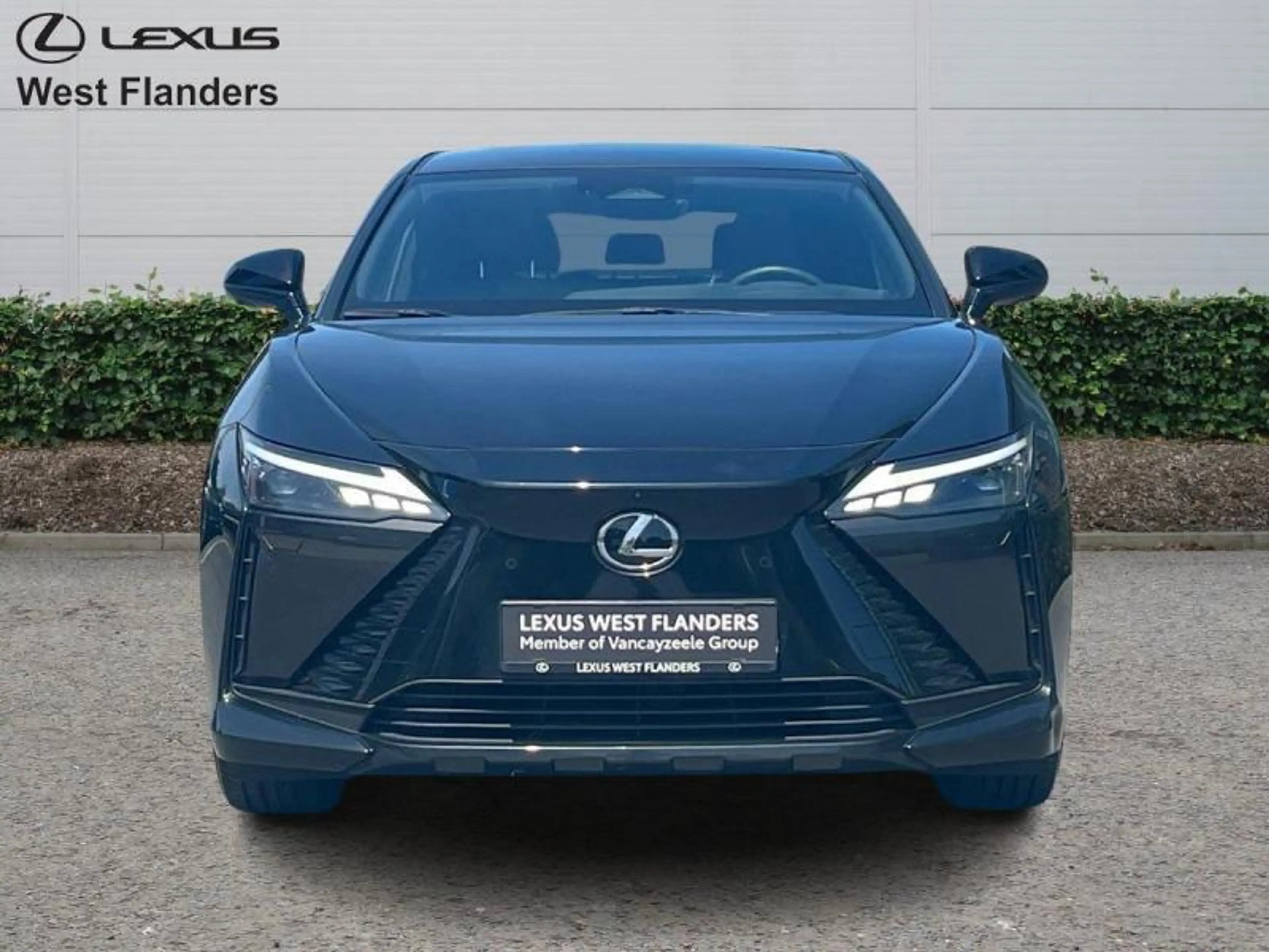 Lexus RZ Executive Line 4X4+panoroof+trekhaak+360°cam+gps+ — photo 2