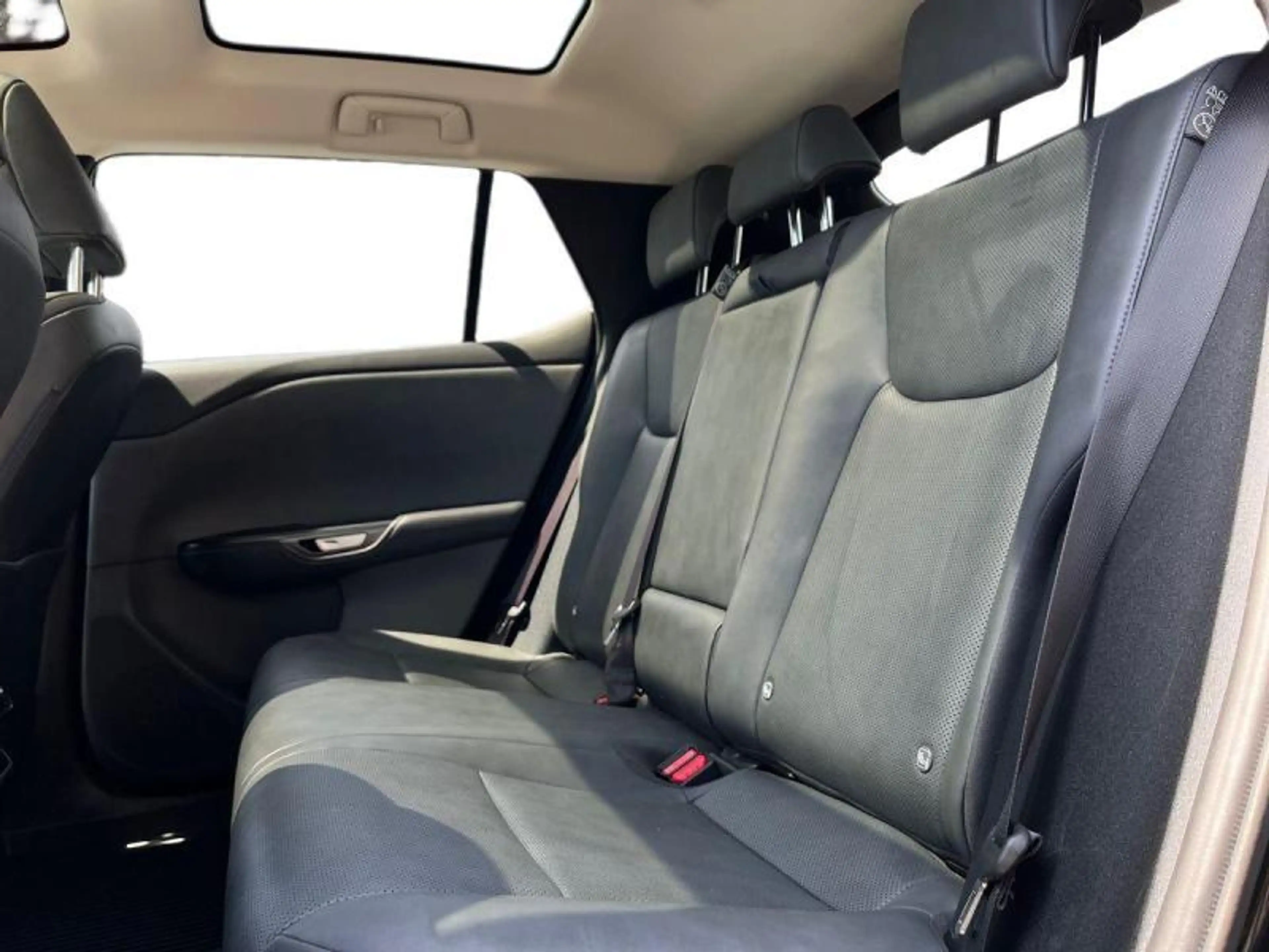 Lexus RZ Executive Line 4X4+panoroof+trekhaak+360°cam+gps+ — photo 10