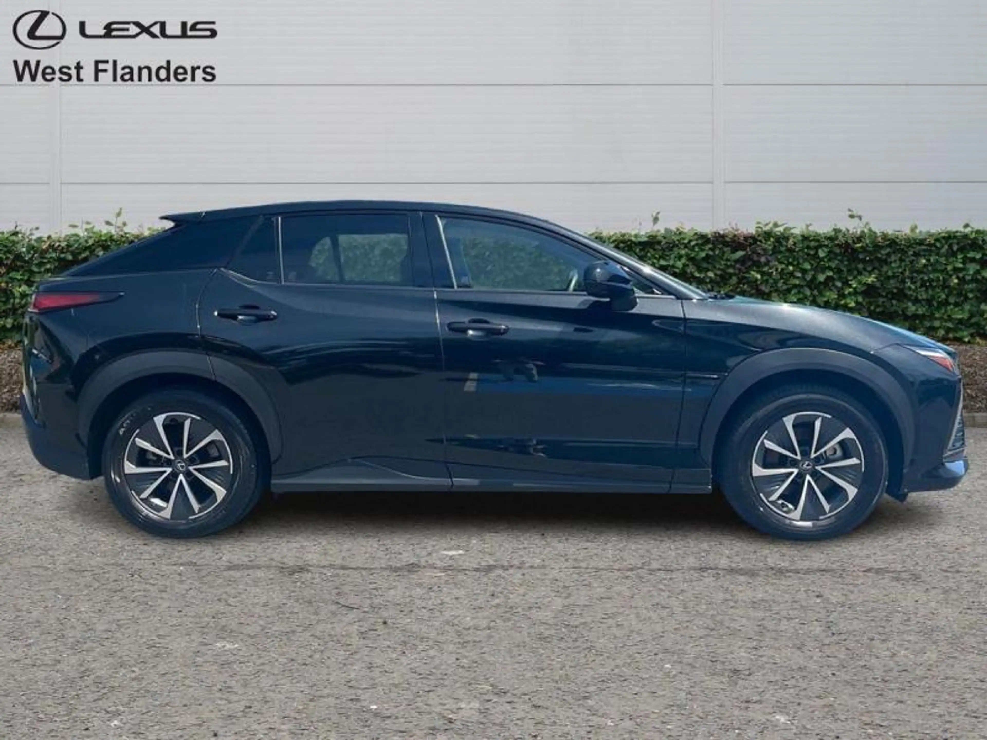 Lexus RZ Executive Line 4X4+panoroof+trekhaak+360°cam+gps+ — photo 3