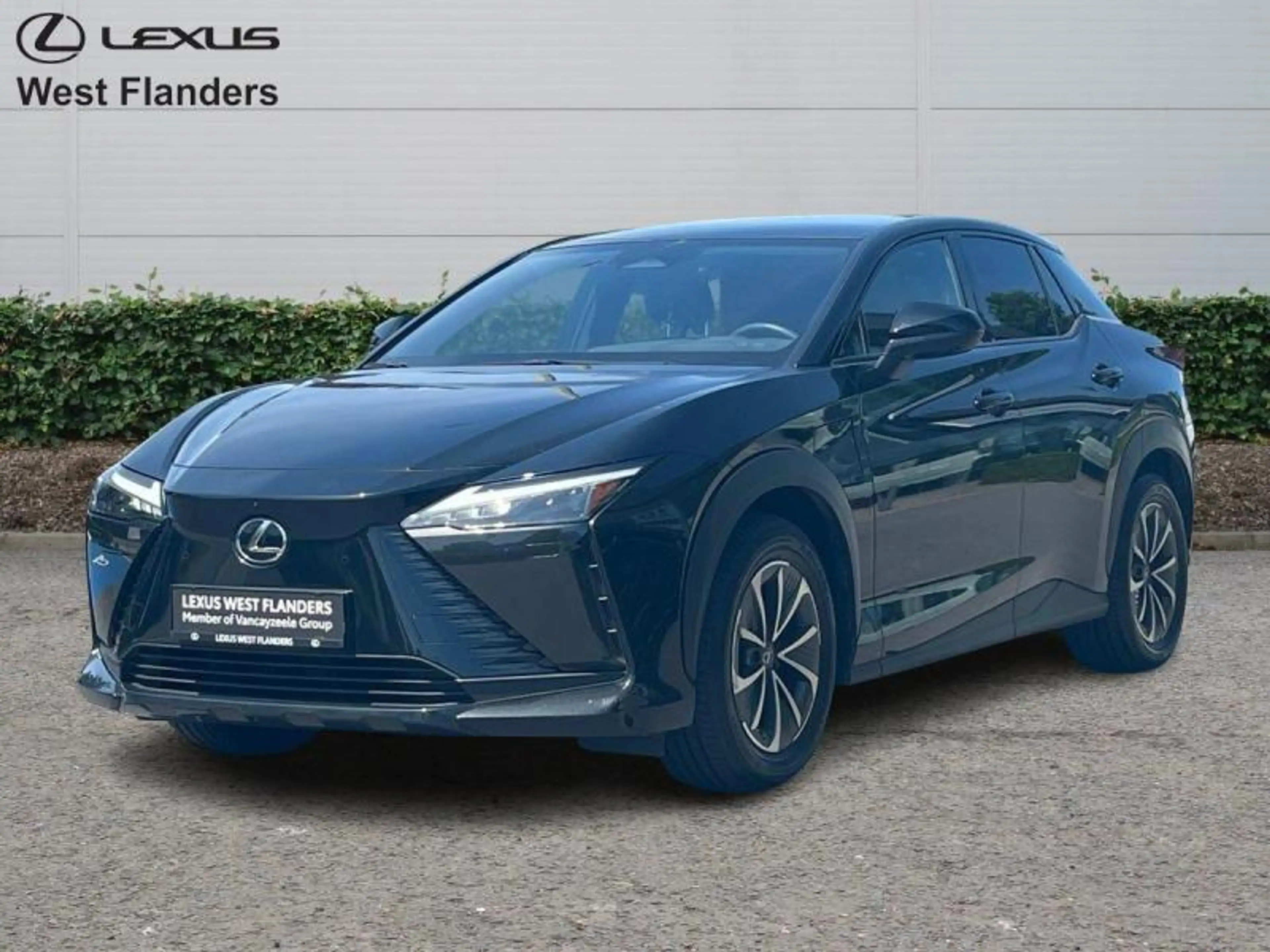 Lexus RZ Executive Line 4X4+panoroof+trekhaak+360°cam+gps+