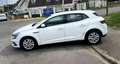 Renault Megane Business 1.3 TCe 140CV BVA7 BEG 10000HT ENTRETIEN  Blanc - thumbnail 2