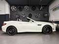 Mercedes-Benz SLK 55 AMG HARMAN-KARDON/GLASDACH/ICW/CARBON Weiß - thumbnail 7