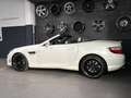 Mercedes-Benz SLK 55 AMG HARMAN-KARDON/GLASDACH/ICW/CARBON Weiß - thumbnail 5