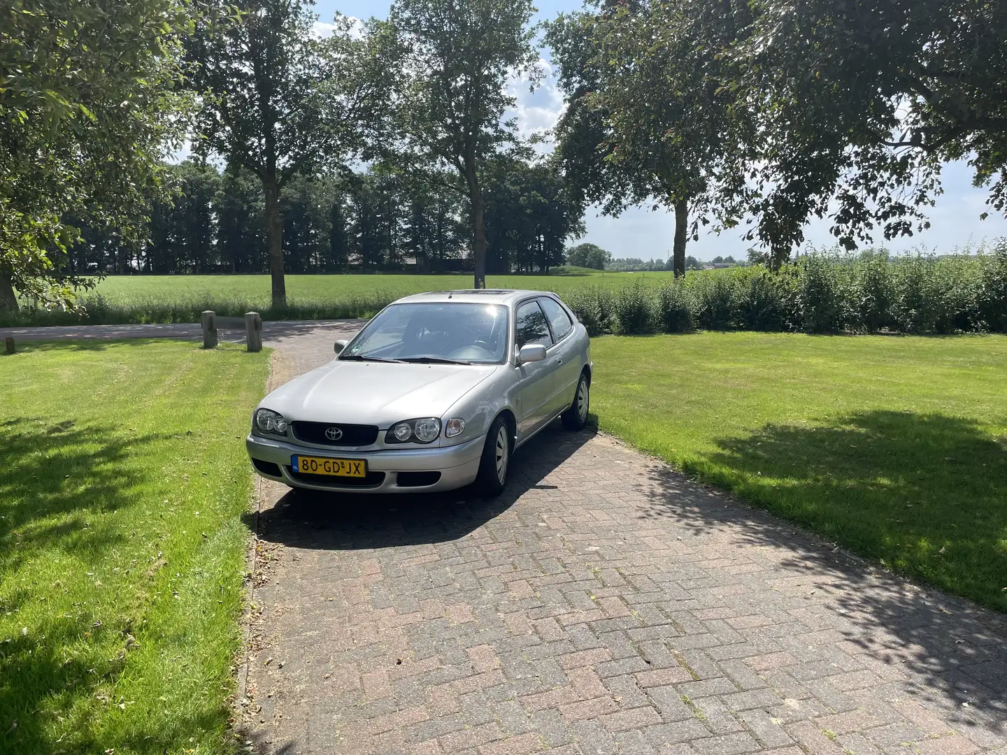Toyota Corolla 1.4 VVT-i Terra Grijs - 2