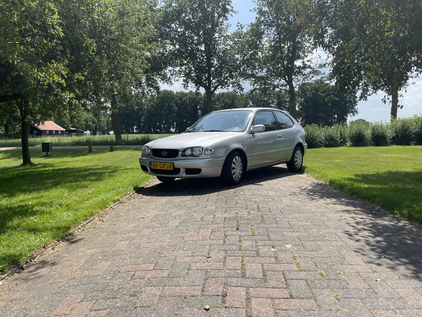 Toyota Corolla 1.4 VVT-i Terra Grijs - 1