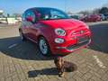 Fiat 500 DolceVita PANO TEMP U-CONNECT Rosso - thumbnail 1