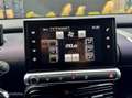 Citroen C4 Cactus 110pk Shine I Leder I Trekhaak I Navi I Mauve - thumbnail 15