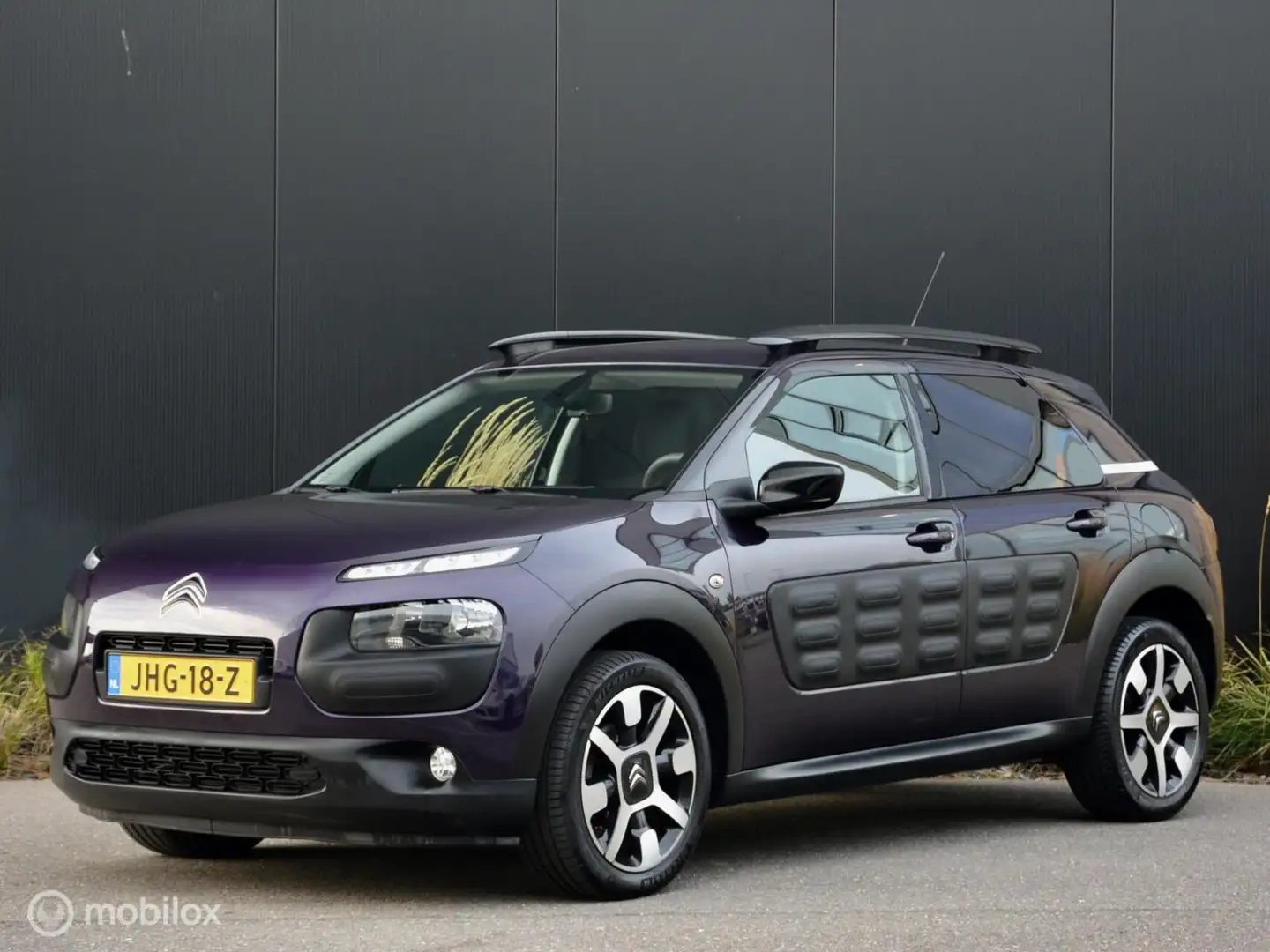 Citroen C4 Cactus 110pk Shine I Leder I Trekhaak I Navi I Paars - 2