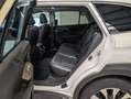 Subaru OUTBACK 2.5i Platinum EyeSight LED ACC CAM LEDER Blanc - thumbnail 12