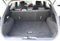Ford Puma II 2020 1.0 ecoboost Hybrid ST-Line Bianco - thumbnail 13