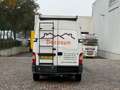 Opel Movano 2.5 CDTI L2H2 Bianco - thumbnail 7