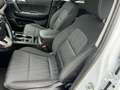 Kia Sportage Sportage 1.6 crdi mhev Business C 2wd 136cv dct7 - thumbnail 10